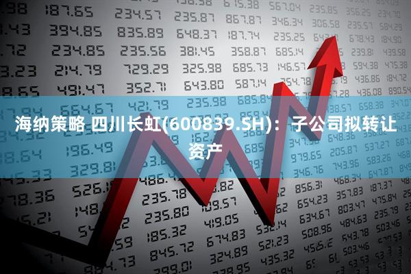 海纳策略 四川长虹(600839.SH)：子公司拟转让资产