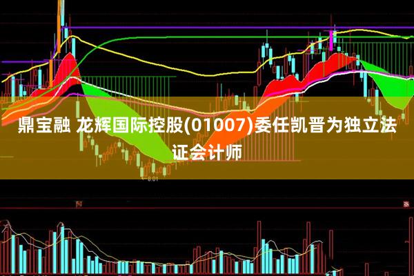 鼎宝融 龙辉国际控股(01007)委任凯晋为独立法证会计师