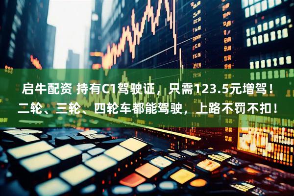启牛配资 持有C1驾驶证，只需123.5元增驾！二轮、三轮、四轮车都能驾驶，上路不罚不扣！