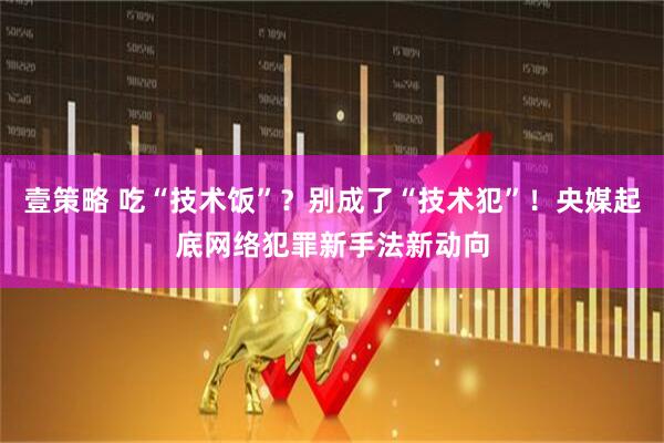 壹策略 吃“技术饭”？别成了“技术犯”！央媒起底网络犯罪新手法新动向